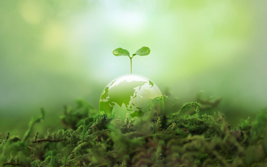 Unfolding Sustainability: Explore AELIA’s New Brochure & Leaflet