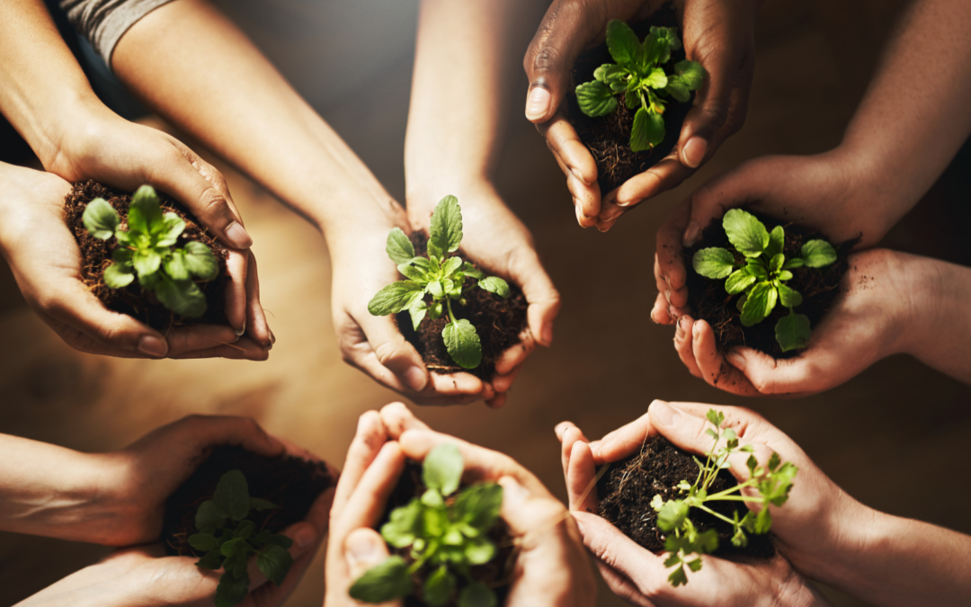 Advancing Sustainability in Education: Serbia Hosts AELIA Policy Learning Meeting