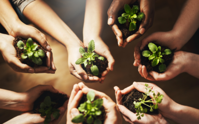 Advancing Sustainability in Education: Serbia Hosts AELIA Policy Learning Meeting