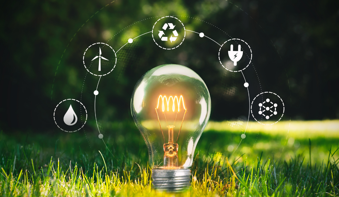 From Dialogue to Policy Impact: Advancing Sustainability in Greek Education