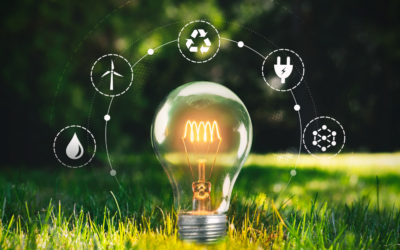 From Dialogue to Policy Impact: Advancing Sustainability in Greek Education